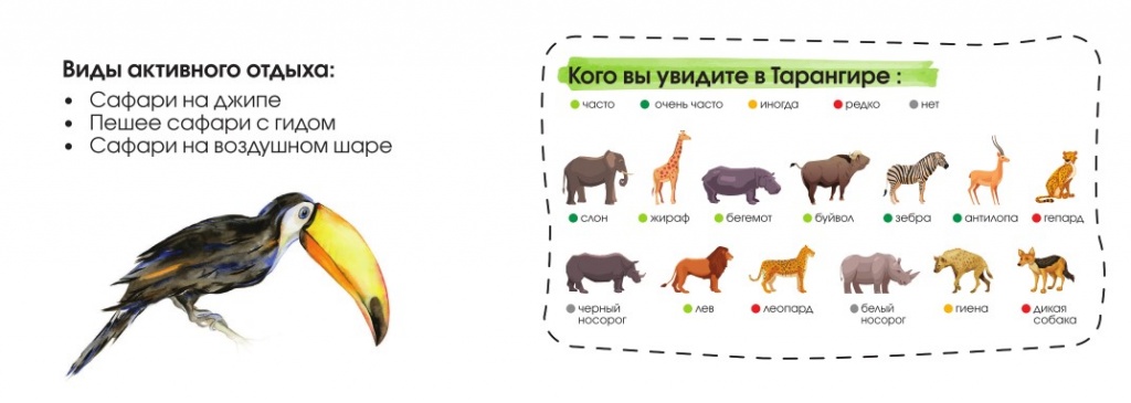 Тарангире 2.jpg