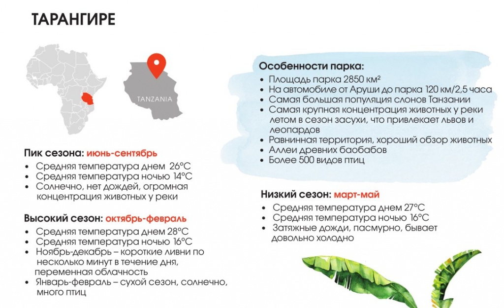 тарангире.jpg