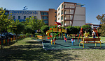 Картинка - 6