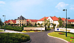 Картинка - 1