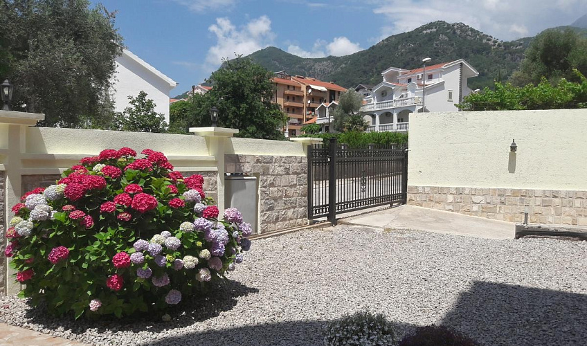 Картинка - 3