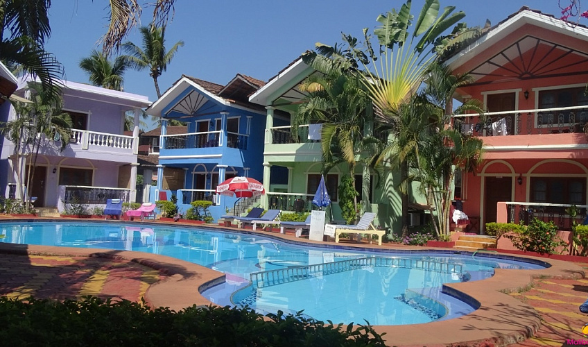 Картинка - 1